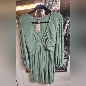 Elegant  Sage Color Pleated Dress